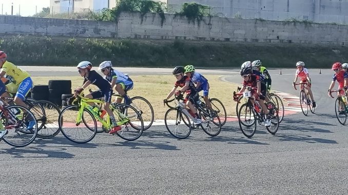 audax